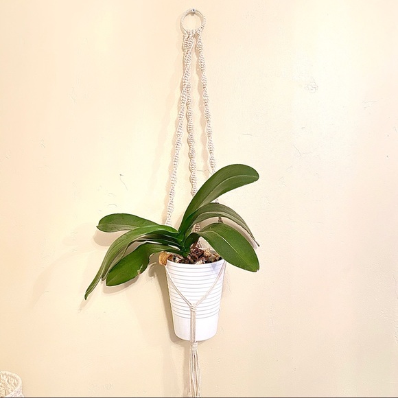 Hand made Macrame plant hanger - Picture 7 of 8